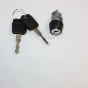 Wybór klientów Cylinder zamykany, zablokowanie zapłonu AUTOMEGA 100035310