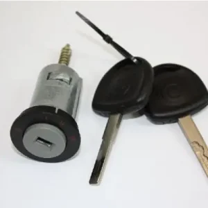 Cylinder zamykany, zablokowanie zapłonu AUTOMEGA 100082510 Dostępne od ręki