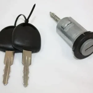 Cylinder zamykany, zablokowanie zapłonu AUTOMEGA 100082810 Ekspresowa dostawa