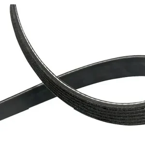 Pasek klinowy wielorowkowy KAVO PARTS DMV-8006 Ekspresowa dostawa