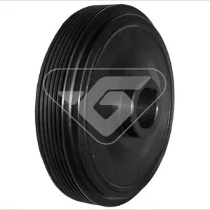 Koło pasowe, wał korbowy HUTCHINSON DP006 Popularny