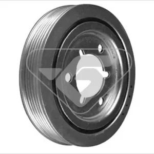 Oferta limitowana Koło pasowe, wał korbowy HUTCHINSON DP019