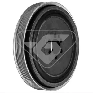 Bezpieczna płatność Koło pasowe, wał korbowy HUTCHINSON DP026