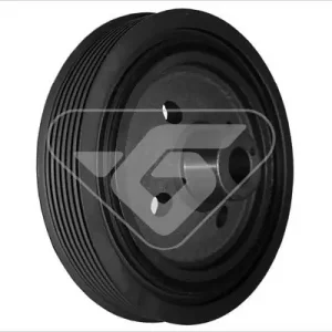 Ograniczona ilość Koło pasowe, wał korbowy HUTCHINSON DP027