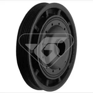 Bezpieczne zakupy Koło pasowe, wał korbowy HUTCHINSON DP036