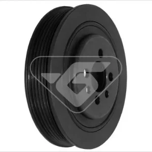 Koło pasowe, wał korbowy HUTCHINSON DP042 Bestseller