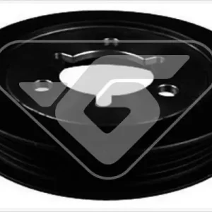 Wysoka jakość Koło pasowe, wał korbowy HUTCHINSON DP069