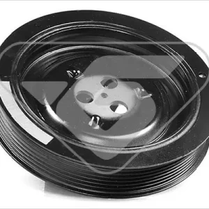 Nowość Koło pasowe, wał korbowy HUTCHINSON DP081