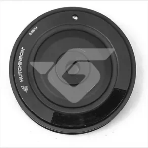 Wybór klientów Koło pasowe, wał korbowy HUTCHINSON DP117