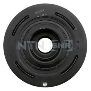 Premium Koło pasowe, wał korbowy SNR DPF355.14