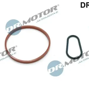 Zestaw uszczelnień, pompa podciśnieniowa DR.MOTOR AUTOMOTIVE DRM01169 Oferta