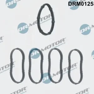 Zniżka Zestaw uszczelek, kolektor dolotowy DR.MOTOR AUTOMOTIVE DRM0125S