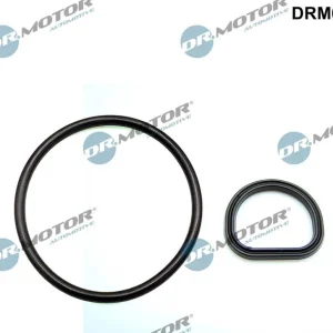 Wyjątkowa oferta Zestaw uszczelek, odpow. skrzyni wału korbowego DR.MOTOR AUTOMOTIVE DRM01470S