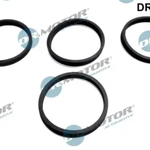 Łatwy zwrot Zestaw uszczelek, kolektor dolotowy DR.MOTOR AUTOMOTIVE DRM0160S