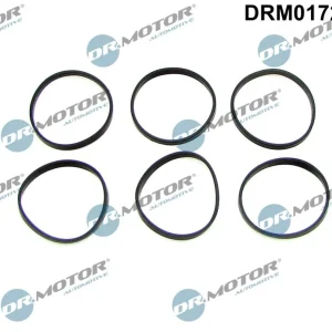 Zestaw uszczelek, kolektor dolotowy DR.MOTOR AUTOMOTIVE DRM01725S Tylko dziś