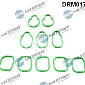 Zestaw uszczelek, kolektor dolotowy DR.MOTOR AUTOMOTIVE DRM01737S Kup online