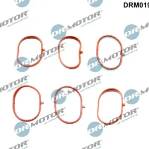 Kup teraz Zestaw uszczelek, kolektor dolotowy DR.MOTOR AUTOMOTIVE DRM01910S