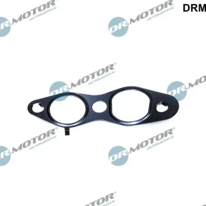 Uszczelnienie, zawór AGR DR.MOTOR AUTOMOTIVE DRM02100 Cena promocyjna