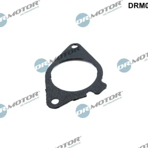 Uszczelnienie, zawór AGR DR.MOTOR AUTOMOTIVE DRM02198 Niska cena