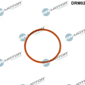 Niska cena Uszczelka, króciec przepustnicy DR.MOTOR AUTOMOTIVE DRM02206
