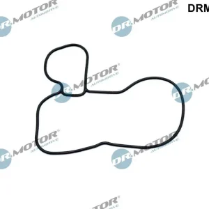 Uszczelka, pompa olejowa DR.MOTOR AUTOMOTIVE DRM02224 Popularny