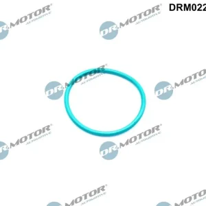 Uszczelnienie, zawór AGR DR.MOTOR AUTOMOTIVE DRM02226 Popularny