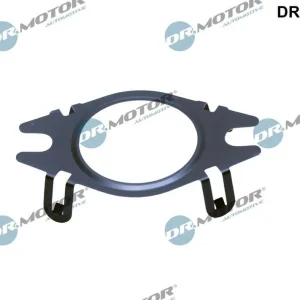 Hit cenowy Pierścień uszczelniający, przewód zaworu AGR DR.MOTOR AUTOMOTIVE DRM02237