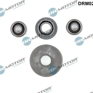 Zestaw naprawczy, dźwignia zmiany biegów DR.MOTOR AUTOMOTIVE DRM02428R Oferta