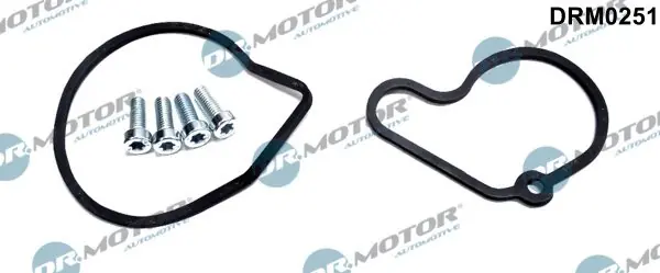 Hit cenowy Zestaw naprawczy, pompa podciśnieniowa (układ hamulcowy) DR.MOTOR AUTOMOTIVE DRM0251
