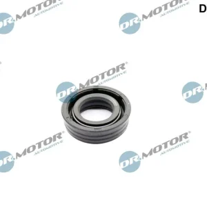 Hit sprzedaży Uszczelka, przestawianie wałka rozrządu DR.MOTOR AUTOMOTIVE DRM02519