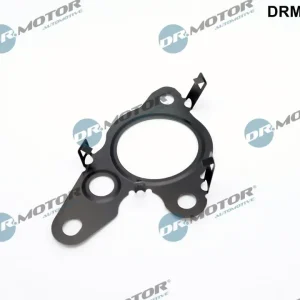 Uszczelnienie, zawór AGR DR.MOTOR AUTOMOTIVE DRM02686 Oferta