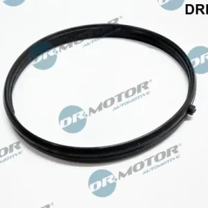 Zamów dziś Uszczelka, kolektor dolotowy DR.MOTOR AUTOMOTIVE DRM0384