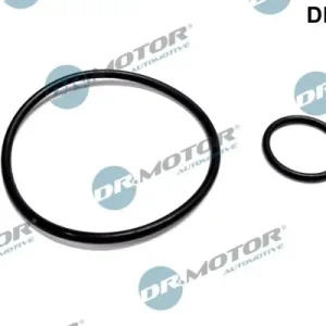 Darmowy zwrot Zestaw uszczelnień, pompa podciśnieniowa DR.MOTOR AUTOMOTIVE DRM049