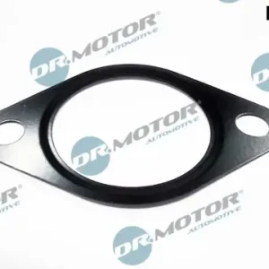 Uszczelnienie, zawór AGR DR.MOTOR AUTOMOTIVE DRM0574 Ekspresowa dostawa