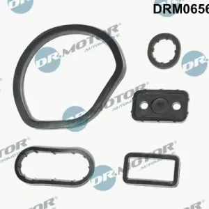 Najlepsza cena Zestaw uszczelek, chłodnica olejowa DR.MOTOR AUTOMOTIVE DRM0656SL