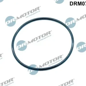 Uszczelnienie, zawór AGR DR.MOTOR AUTOMOTIVE DRM0749 Ostatnia szansa