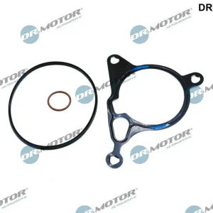 Zamów teraz Zestaw uszczelnień, pompa podciśnieniowa DR.MOTOR AUTOMOTIVE DRM0908S