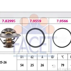 Zamów teraz TERMOSTAT