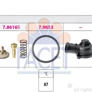 Szybka dostawa TERMOSTAT