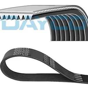 Sprawdź teraz Pasek wielorowkowy klinowy DAYCO 8PK1716HD
