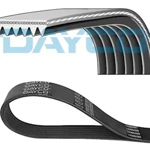 Pasek wielorowkowy klinowy DAYCO 6PK1141 Kup online